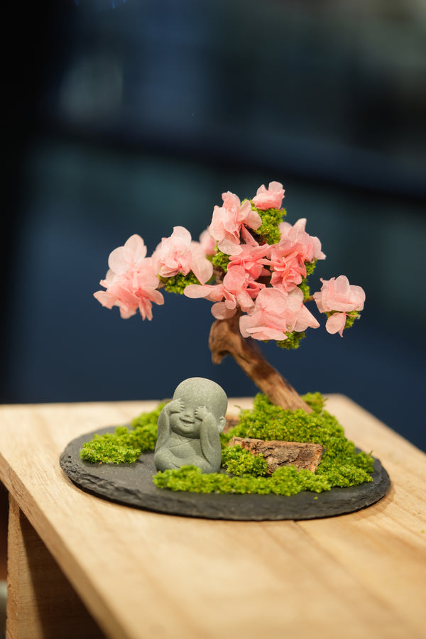 Slow Wood - Sakura - Journeyman
