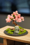 Slow Wood - Sakura - Journeyman