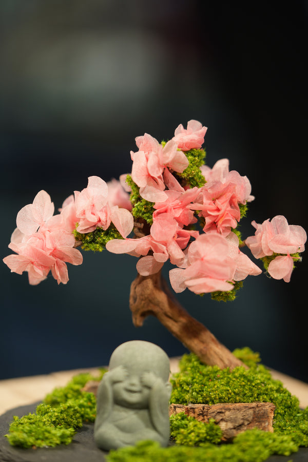 Slow Wood - Sakura - Journeyman