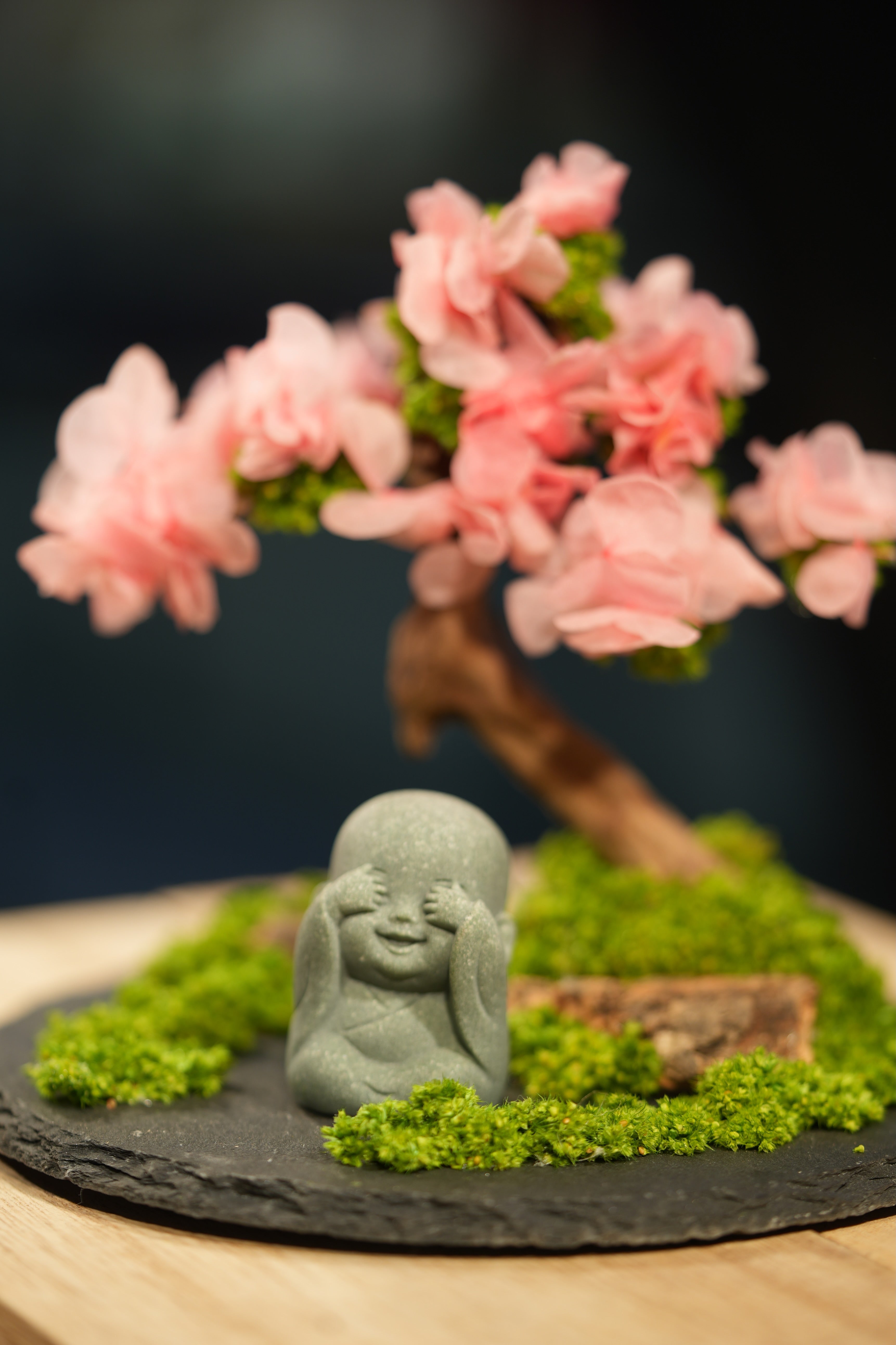 Slow Wood - Sakura - Journeyman