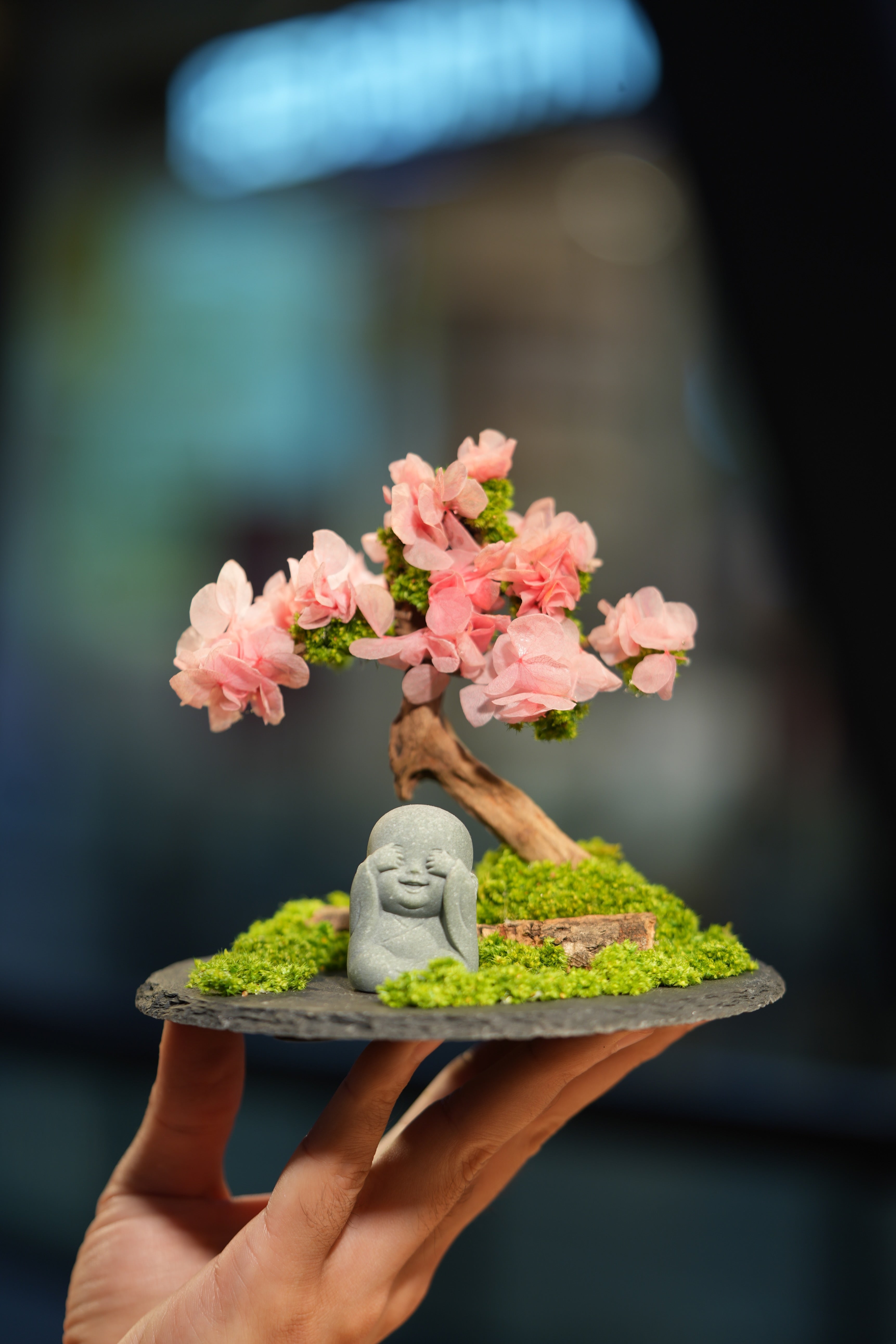 Slow Wood - Sakura - Journeyman