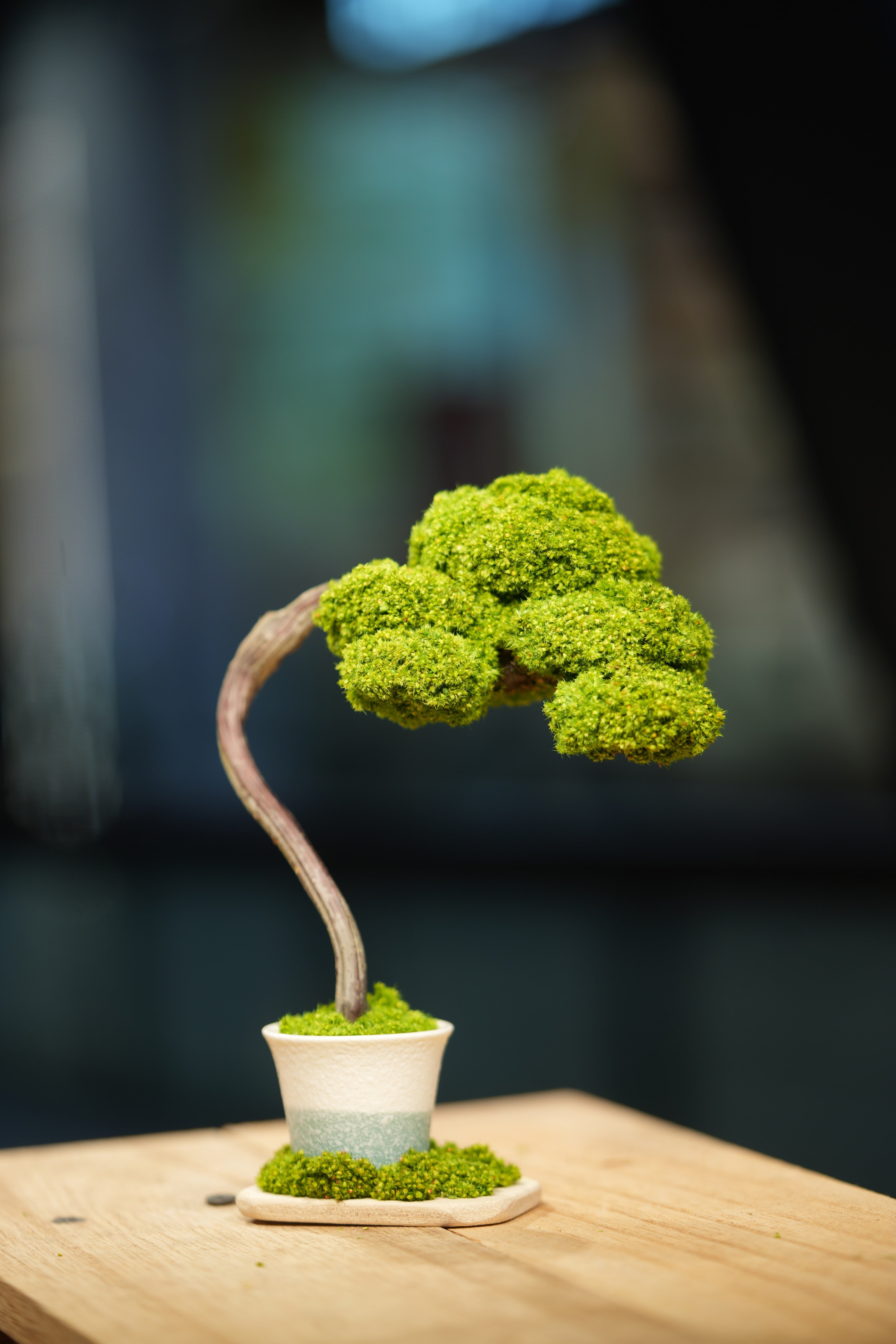 Small Tree in the East