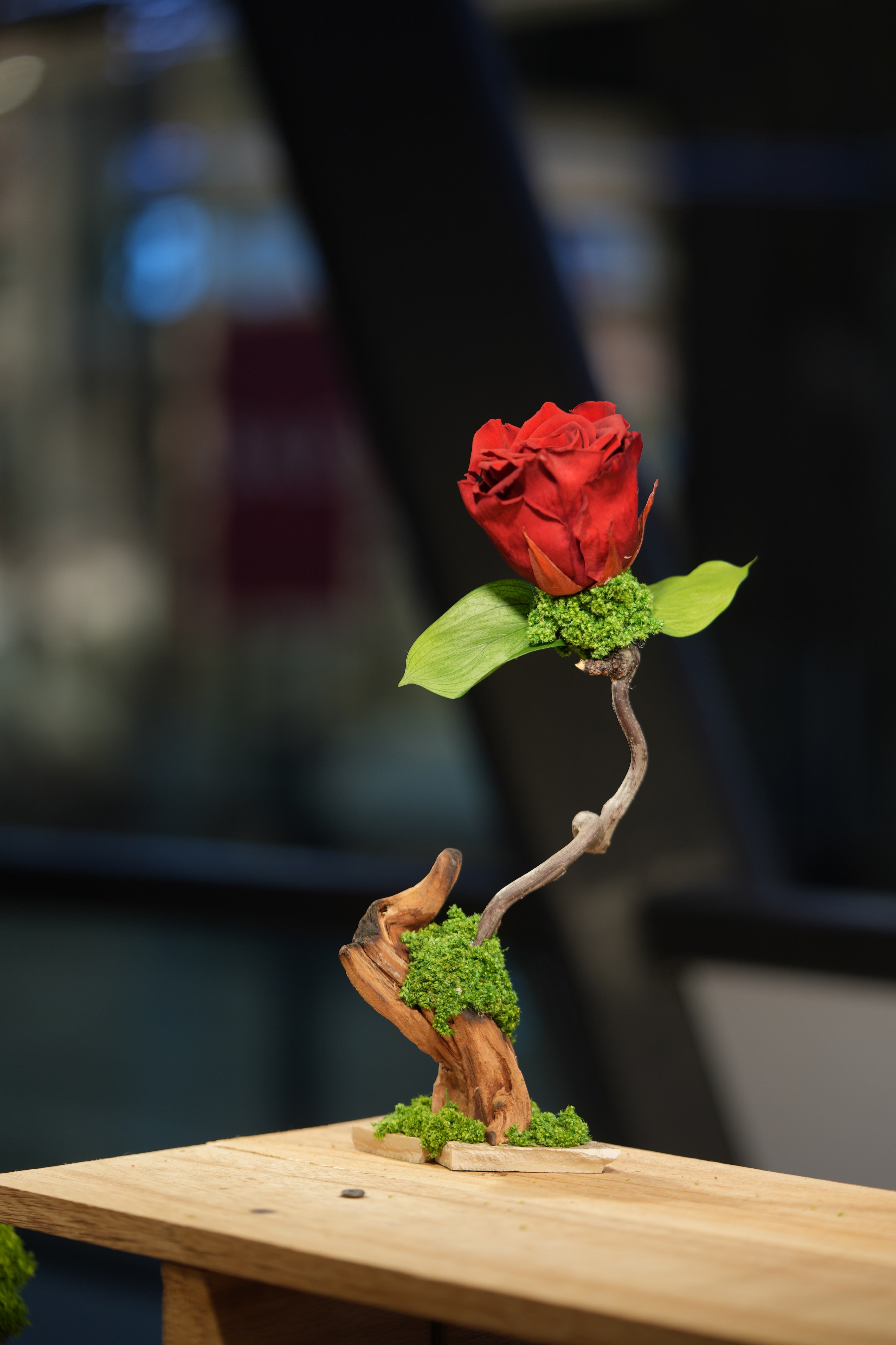 Children of the Forest - Jupiter - Driftwood