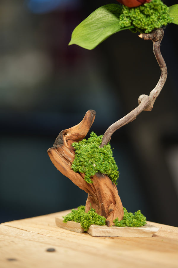 Children of the Forest - Jupiter - Driftwood