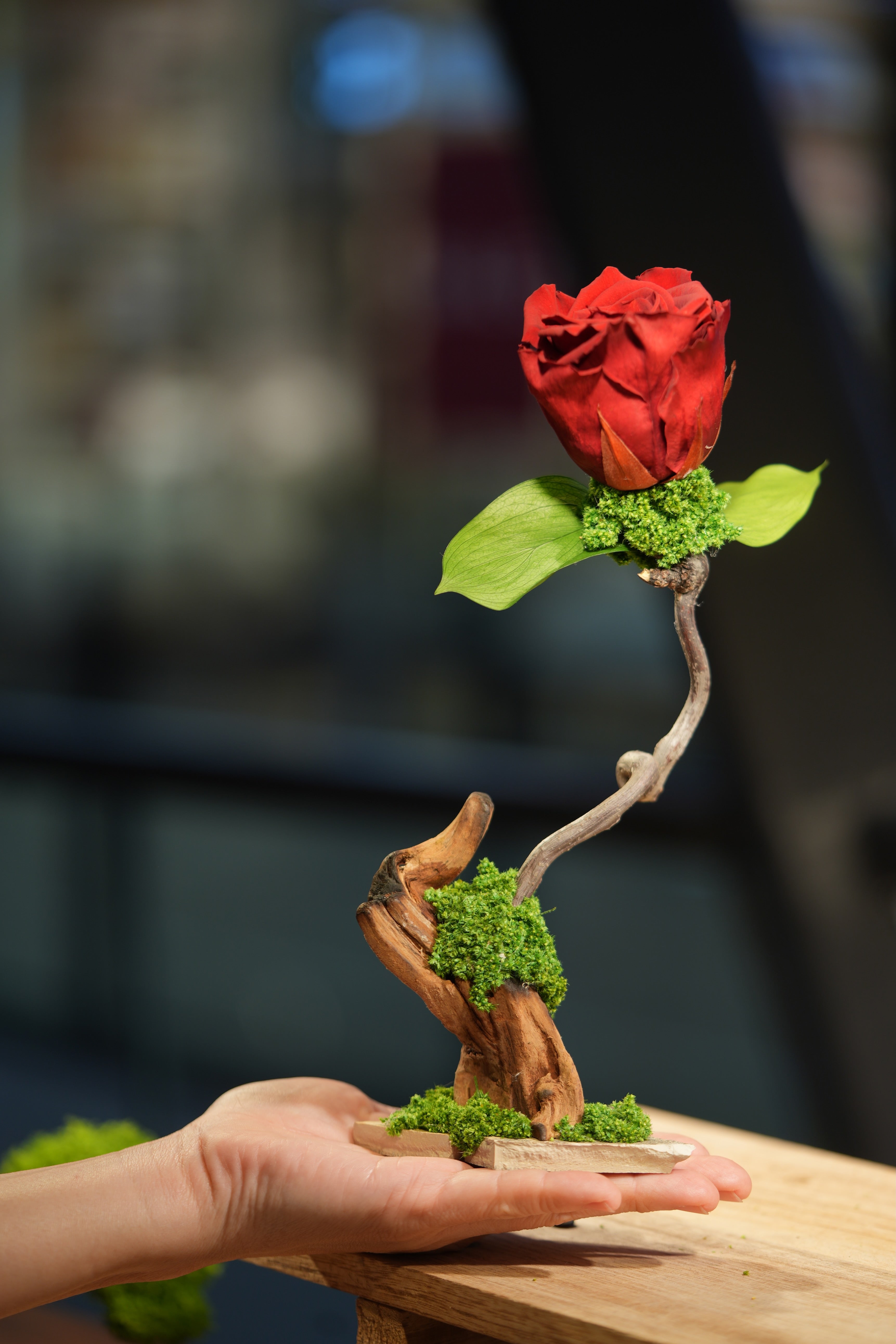 Children of the Forest - Jupiter - Driftwood