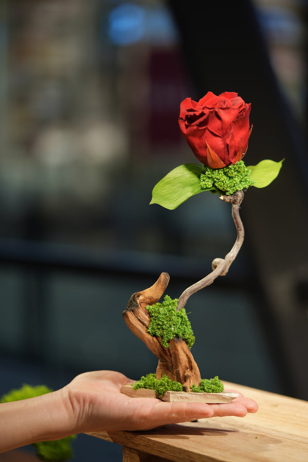 Children of the Forest - Jupiter - Driftwood