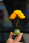 Small Tree in the East - Autumn Gold