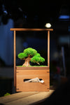 Slow Wood - Young - Tissue Box edition