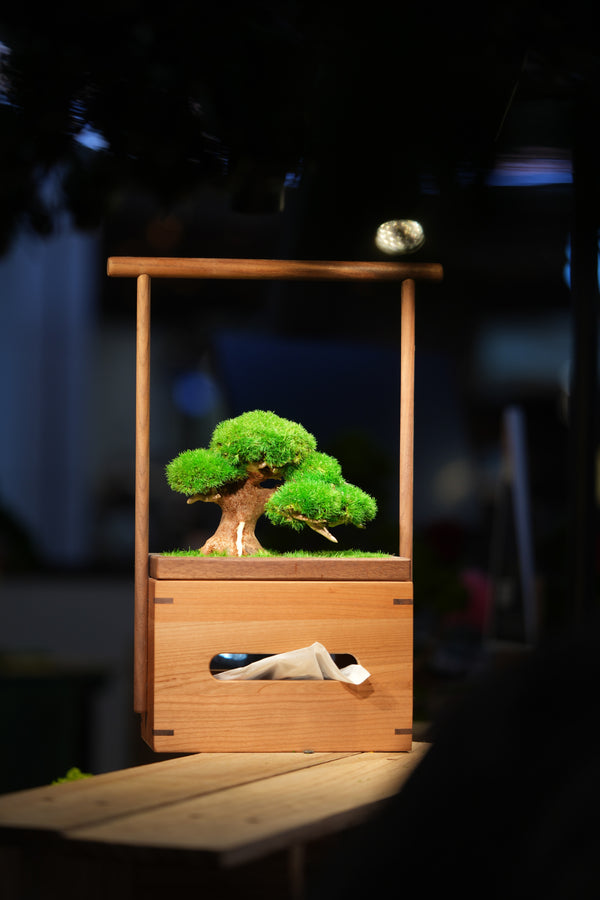 Slow Wood - Young - Tissue Box edition