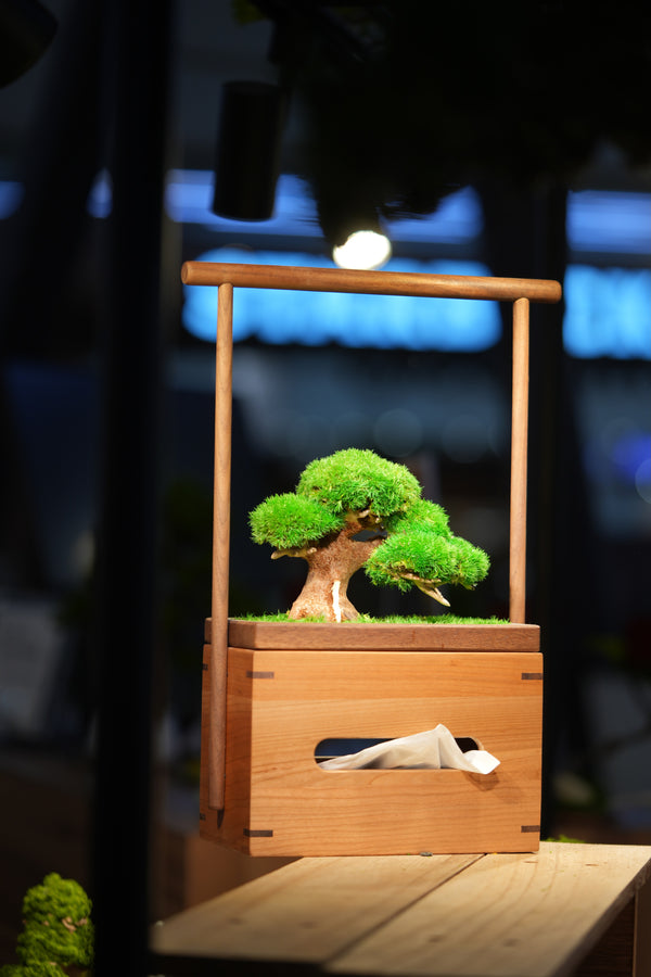 Slow Wood - Young - Tissue Box edition