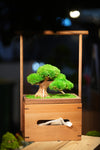 Slow Wood - Young - Tissue Box edition