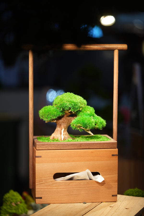 Slow Wood - Young - Tissue Box edition