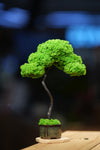 Small Tree in the East - Classics
