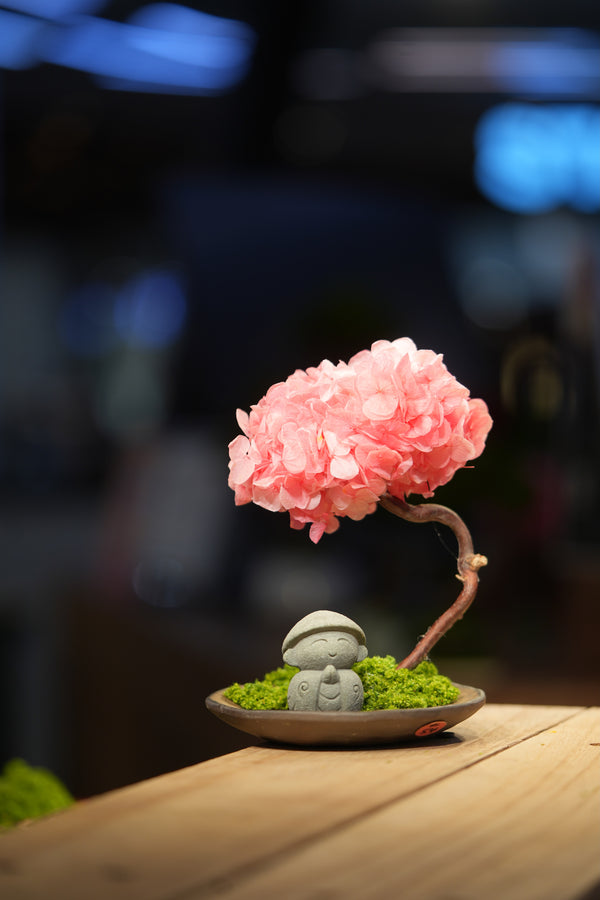 Small Tree in the East - Sakura - Journeyman