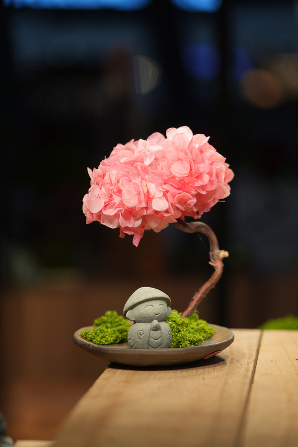 Small Tree in the East - Sakura - Journeyman