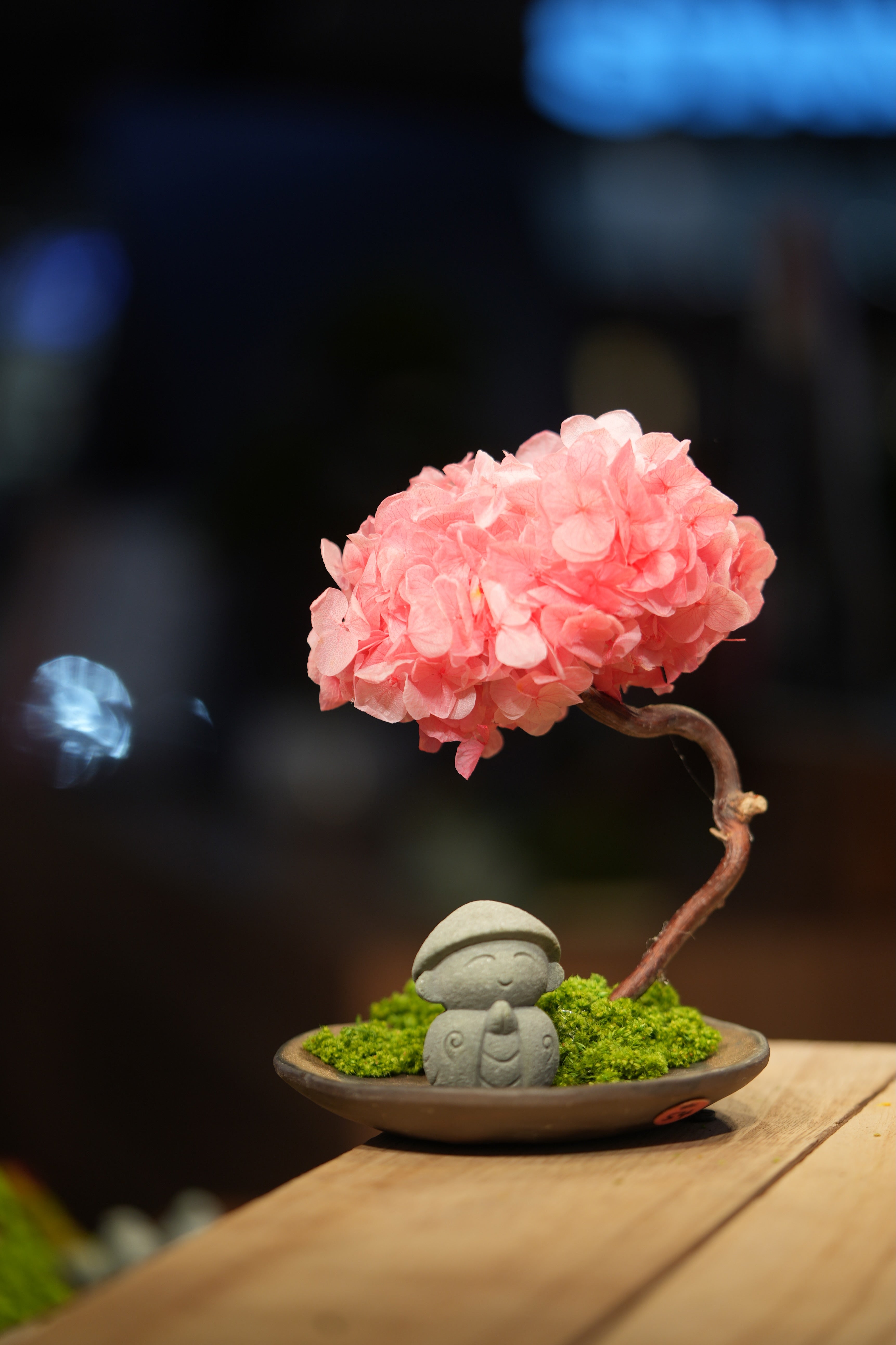 Small Tree in the East - Sakura - Journeyman