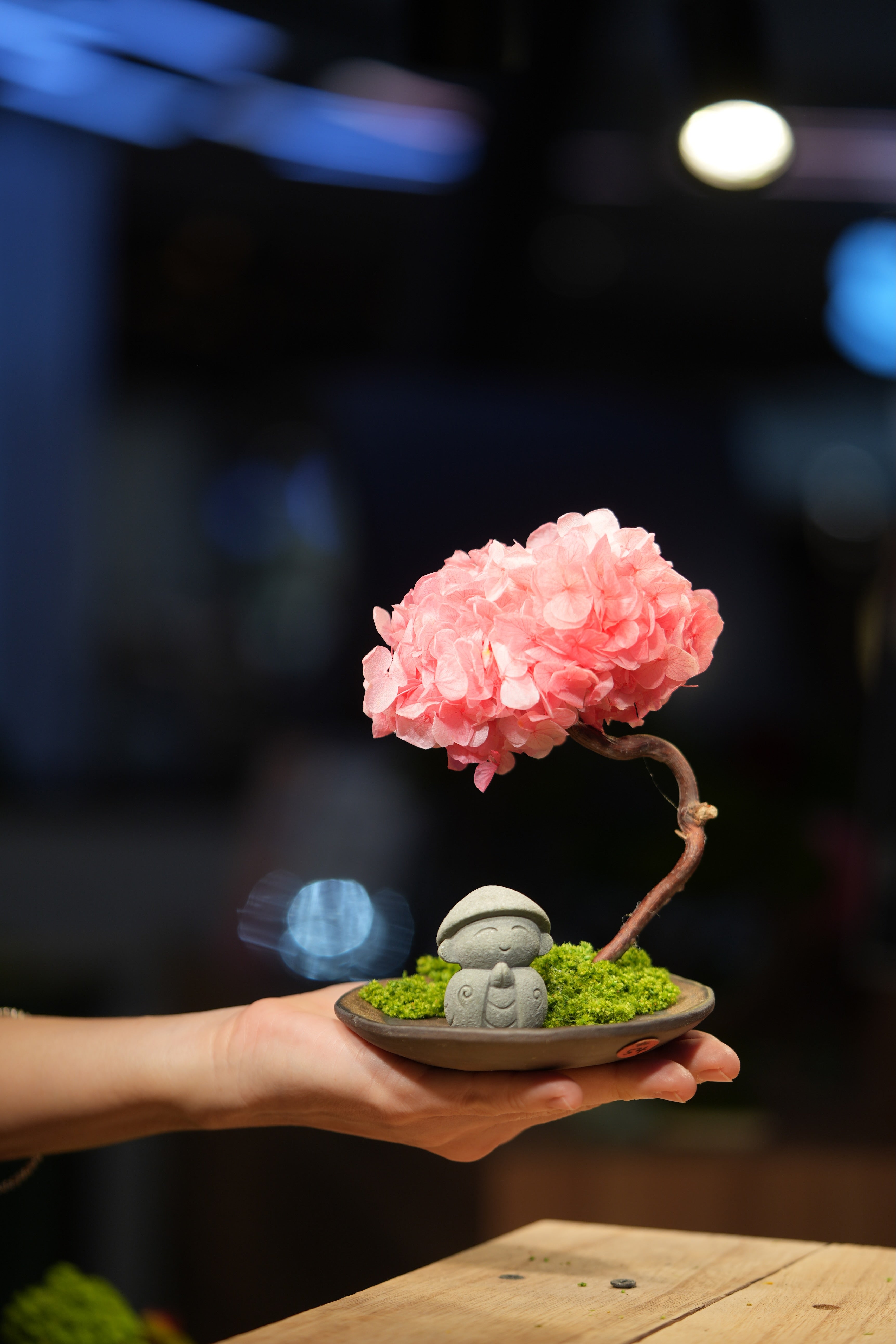 Small Tree in the East - Sakura - Journeyman