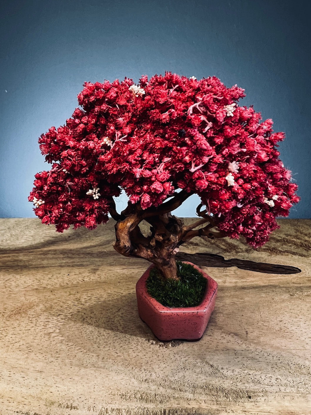 A Small Tree in the East - Teen (Preserved Plants)
