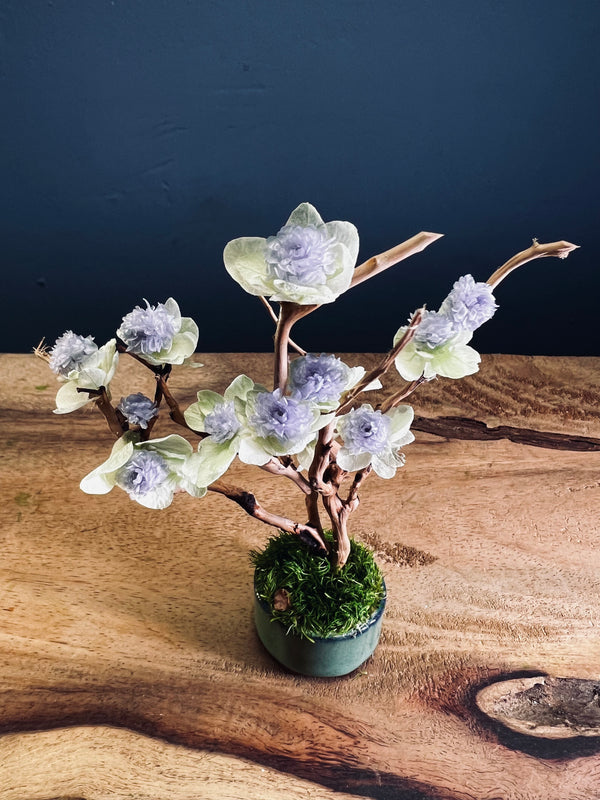 A Small Tree in the East - Violet (Preserved Plants)