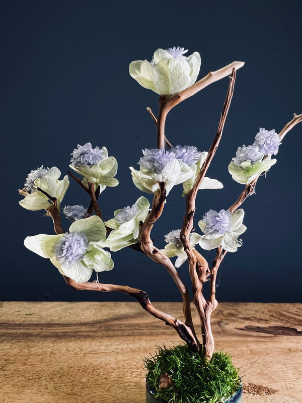 A Small Tree in the East - Violet (Preserved Plants)