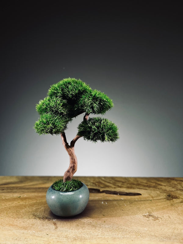 A Small Tree in the East - Classic edition (Preserved Plants)