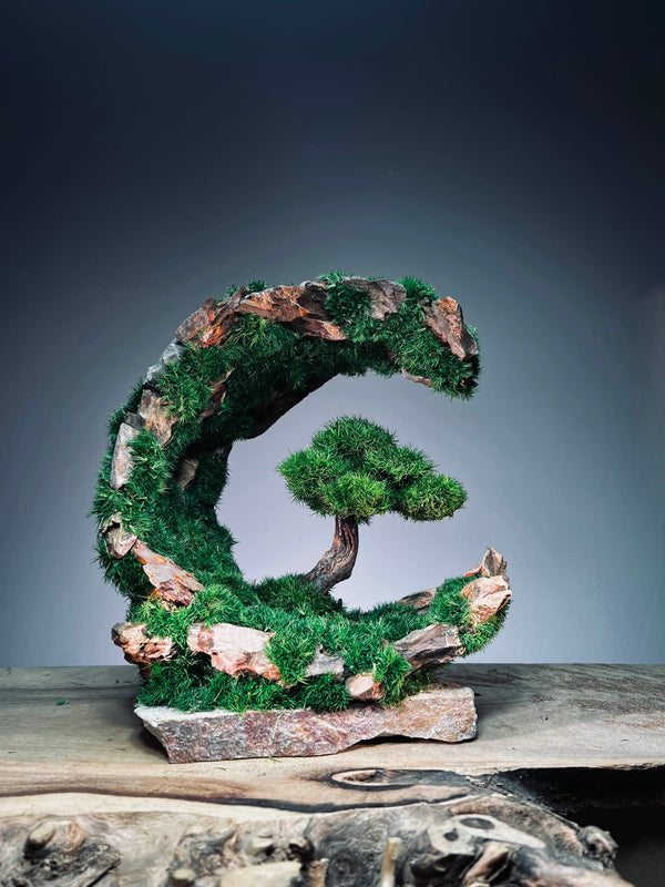 Half-Moon Bay - Crescent (Preserved Plants)