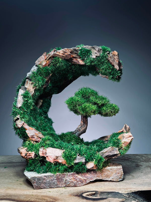 Half-Moon Bay - Crescent (Preserved Plants)