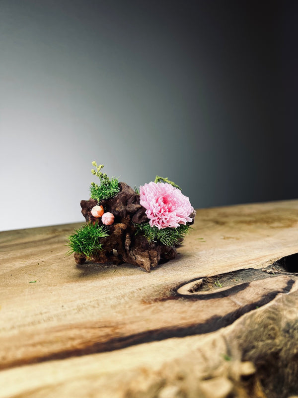 Children of the Forest - Driftwood - Smaller (Preserved Plants)