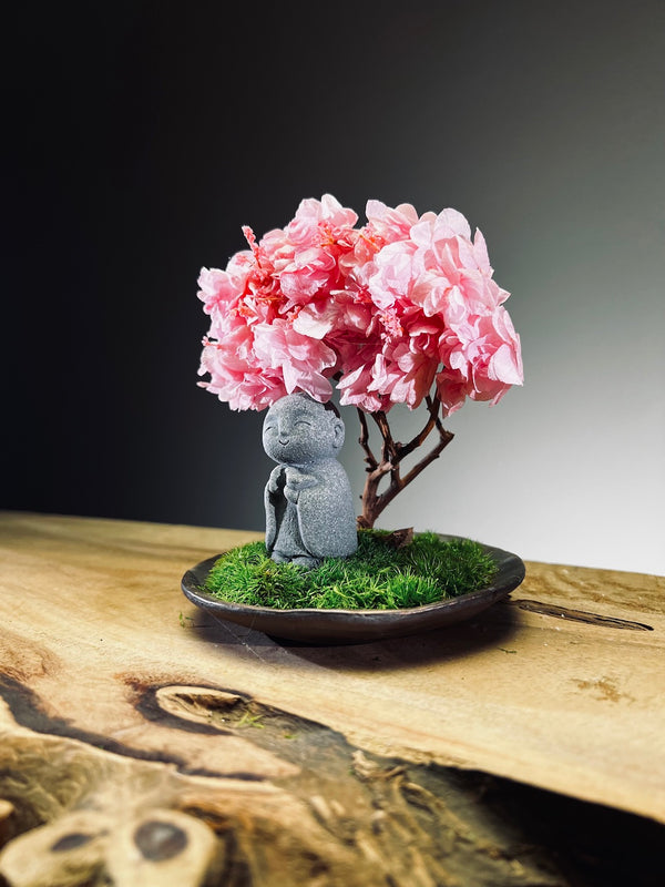 A Small Tree in the East - Sakura - Journeyman (Preserved Plants)