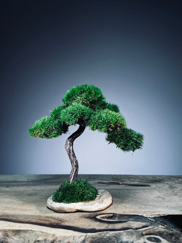 Rosewood - Smaller (Preserved Plants)