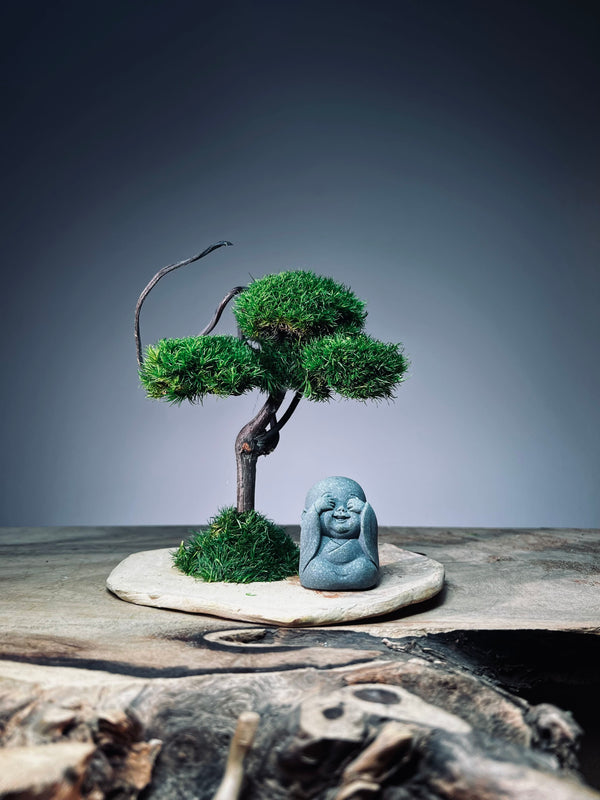 A Small Tree in the East - Classic - Journeyman (Preserved Plants)
