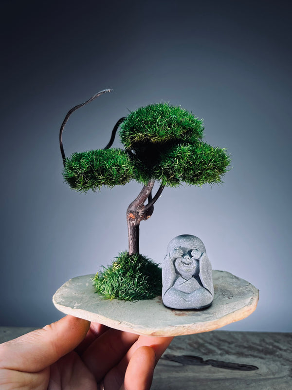 A Small Tree in the East - Classic - Journeyman (Preserved Plants)