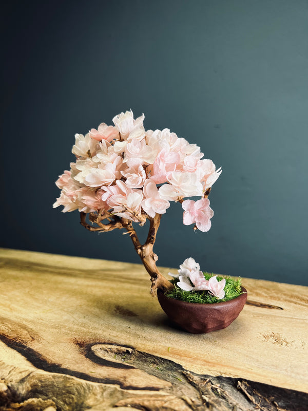 A Small Tree in the East - Sakura - Vermilion Clay edition (Preserved Plants)