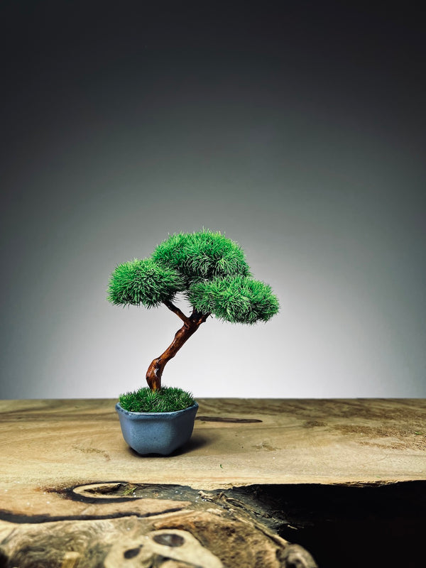 A Small Tree in the East - Classic edition (Preserved Plants)