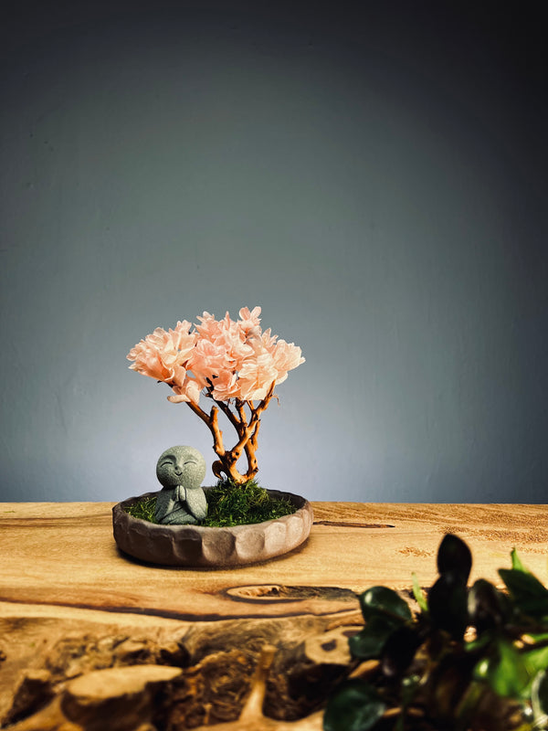 A Small Tree in the East - Sakura - Journeyman (Preserved Plants)