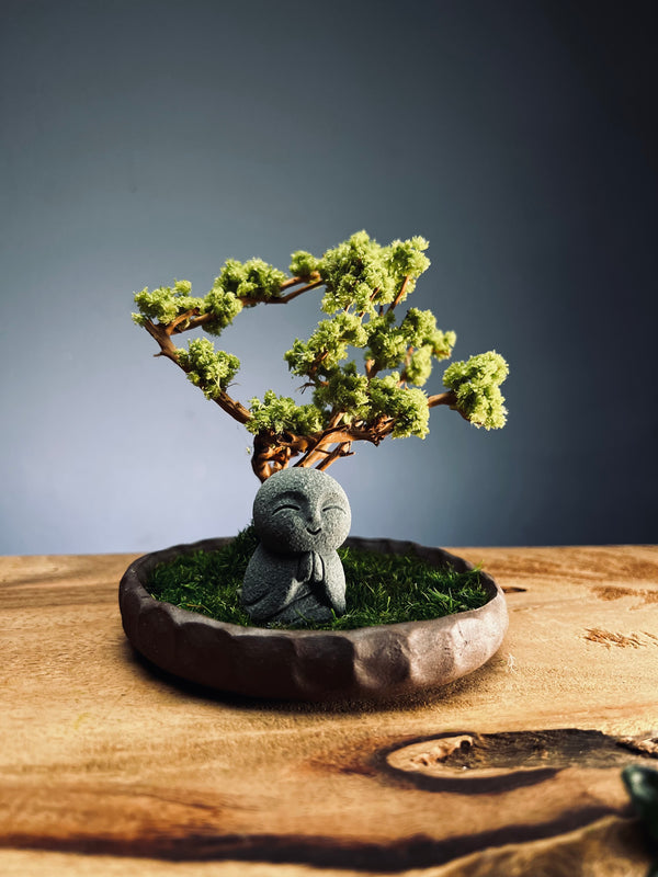 A Small Tree in the East - Teen - Journeyman (Preserved Plants)