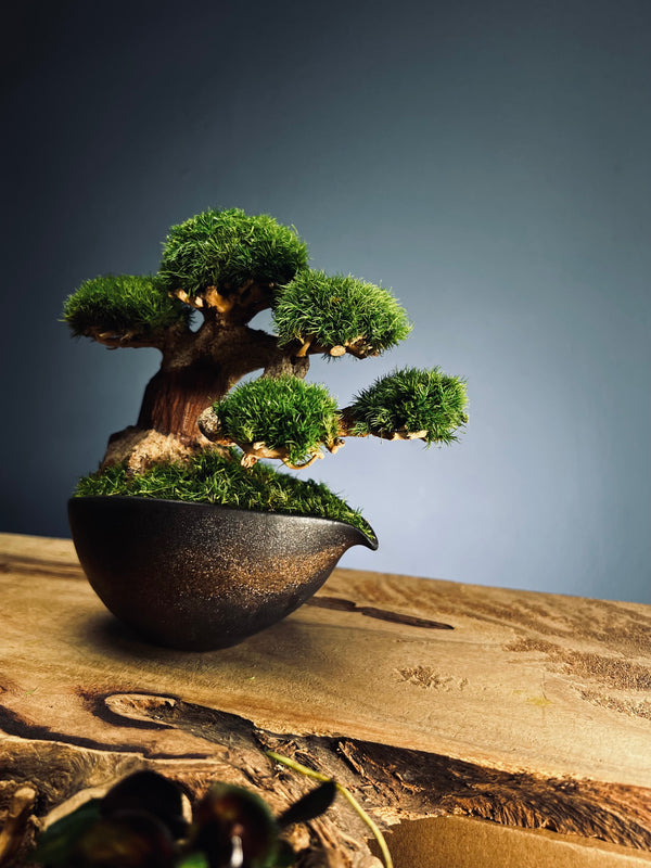 Slow Wood - Young - Garden edition (Preserved Plants)
