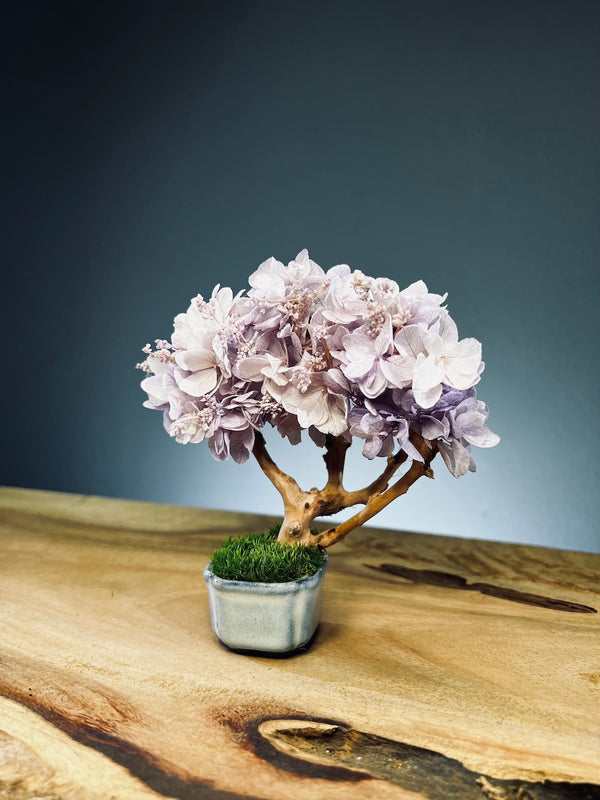 A Small Tree in the East - Purple Dream (Preserved Plants)