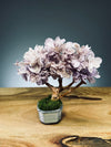 A Small Tree in the East - Purple Dream (Preserved Plants)