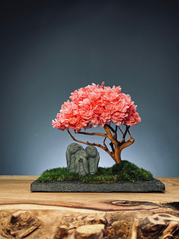 A Small Tree in the East - Sakura - Trio of Everjoy (Preserved Plants)