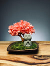 A Small Tree in the East - Sakura  - Journeyman (Preserved Plants)