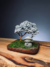 A Small Tree in the East - Teen - Journeyman (Preserved Plants)