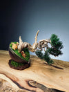 Juniper by the Winding Path - Silver Moon (Preserved Plants)