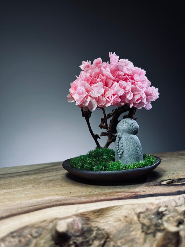 A Small Tree in the East - Sakura - Journeyman (Preserved Plants)