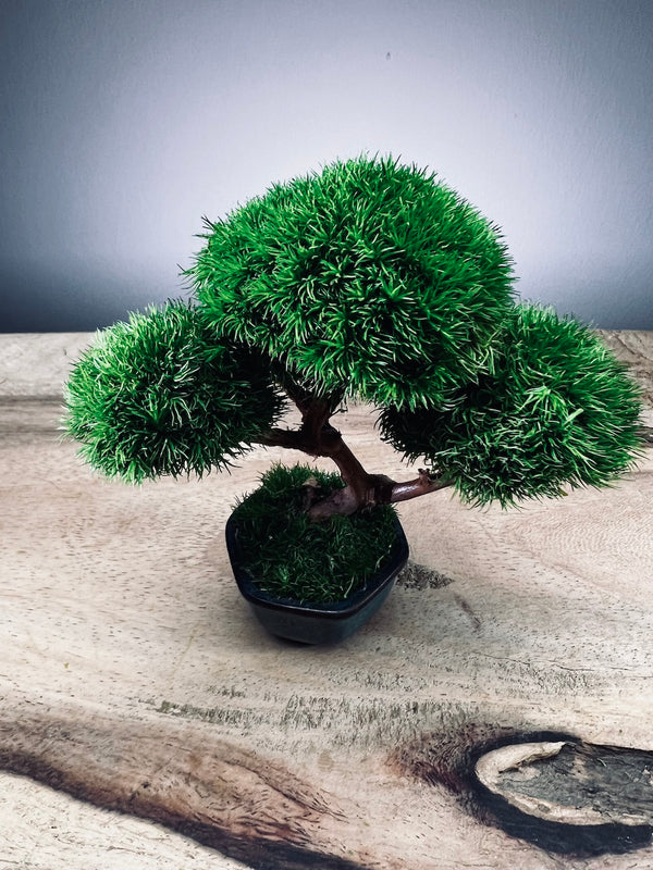 A Small Tree in the East - Classic edition (Preserved Plants)