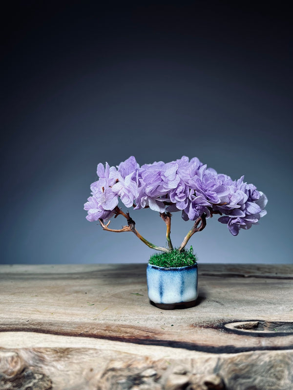 A Small Tree in the East - Sakura - Purple Dream (Preserved Plants)