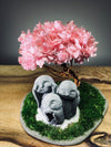 A Small Tree in the East - Sakura - Trio of Everjoy (Preserved Plants)