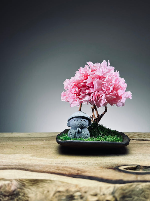 A Small Tree in the East - Sakura - Journeyman (Preserved Plants)