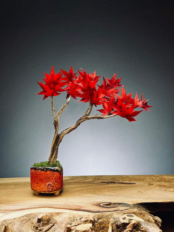 Theatre of Autumn - Flaming Maple (Preserved Plants)
