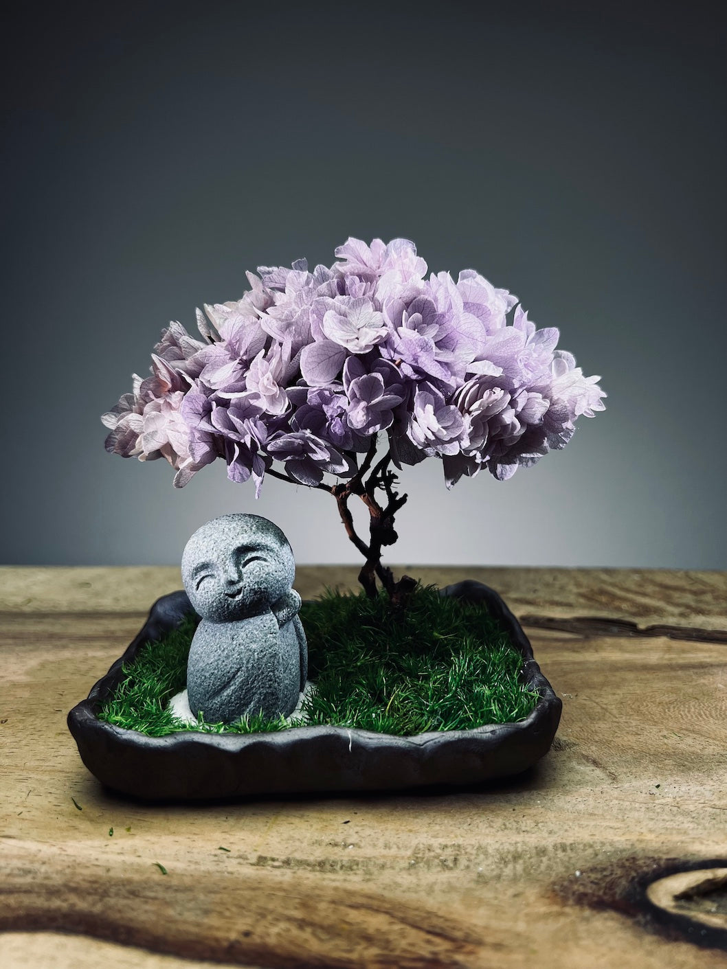 A Small Tree in the East - Sakura - Purple Dream - Journeyman (Preserved Plants)